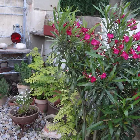 Bed & Breakfast La Grande Maison 3*